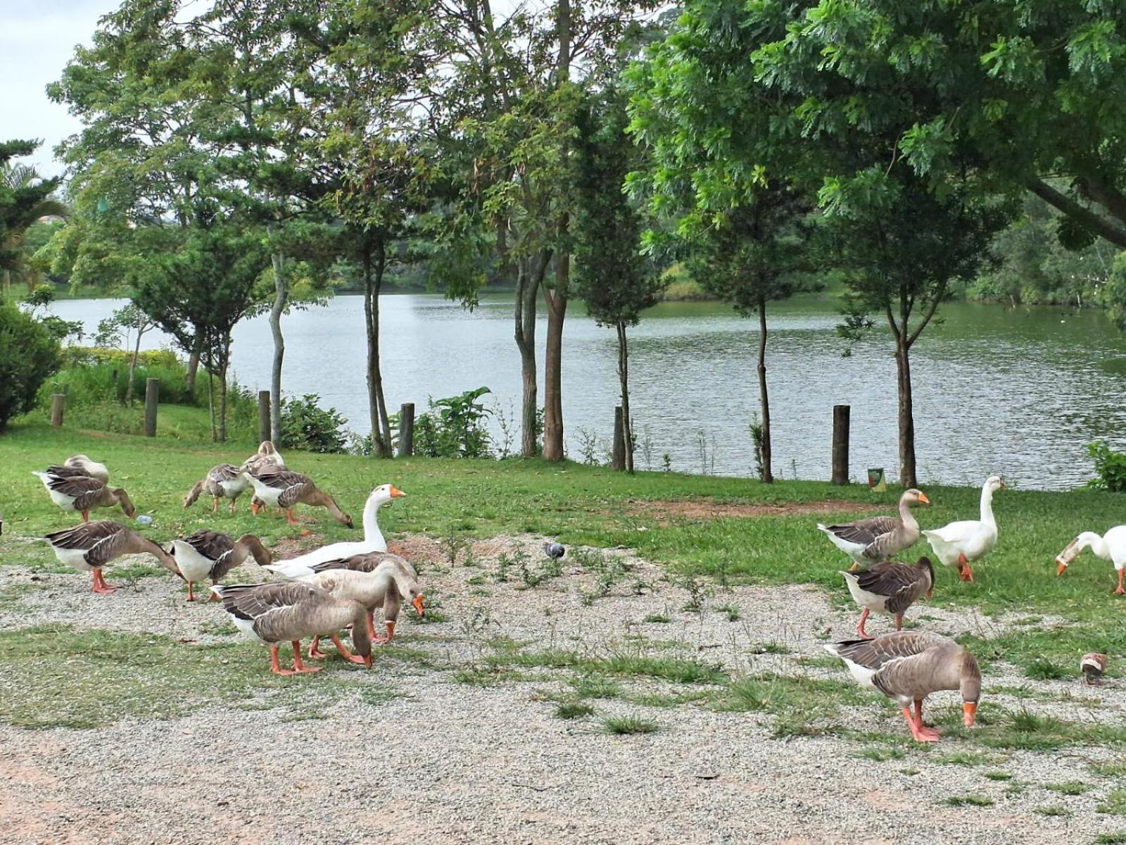 Casa Temporada Em Embu Das Artes Villa Esterno foto